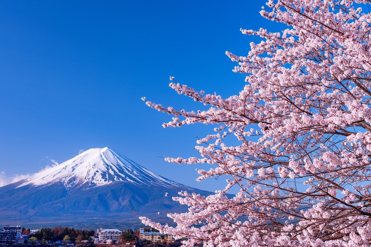 富士山と桜